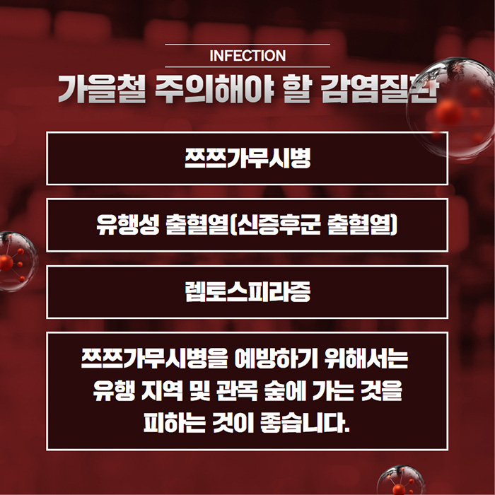 가을철 주의해야 할 감염질환 / 쯔쯔가무시병,유행성 출혈열(신증후군 출혈열), 렙토스피라증, 쯔쯔가무시병을 예방하기 위해서는 유행 지역 및 관목 숲에 가는것을 피하는 것이 좋습니다.